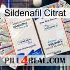 Sildenafil Citrat kamagra1